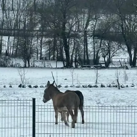 Apartment La Pause Larzac-parking Prive-a 20 Min De Millau